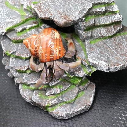 Hermit Crab Hideout, Resin Simulation Stone Reptile Cave Hideout, Hermit Crab Climbing Toys, Terrarium Habitat Decor for Lizard Spider Aquarium Fish Gecko Bearded Dragon