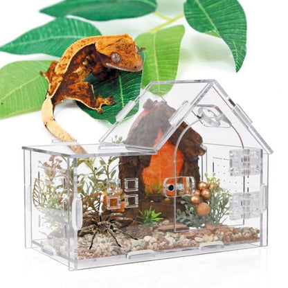 Acrylic Jumping Spider Enclosure House-Shaped Terrarium | Clear 360° view tank, magnetic door & top feeding port, 1mm vents, for mantis, tarantula, gecko & small insects - color: Transparency