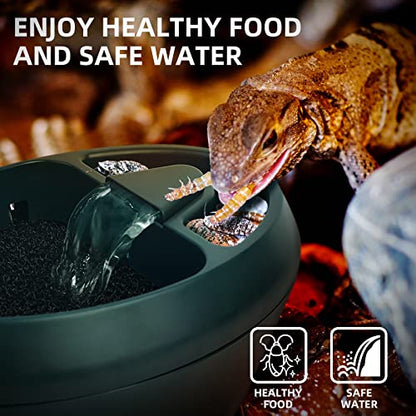 MYGIIKAKA Automatic Mister for Reptiles with Reptile Drinking Water Fountain Chameleon Accessories Automatic Circulation System Set