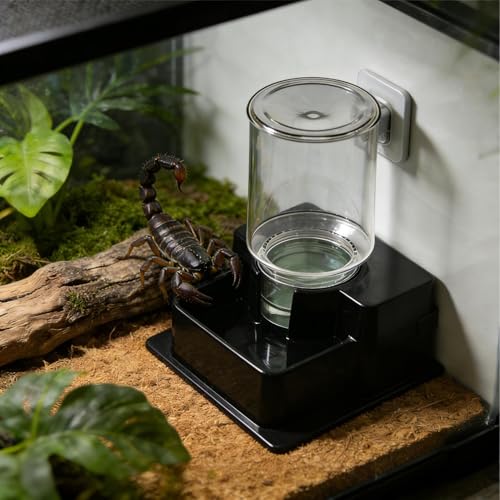Reptile Automatic Dish - Automatic Reptile Feeder, Crab Water Dispenser | ABS, Bearded Dragon Water Bowl Food Container for Lizard Chameleon Snake Frog Hermit Crab Amphibian Habitat - color: Brown