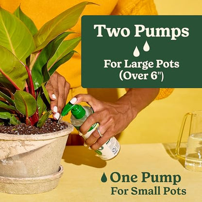 Miracle-Gro Indoor Potting Mix (6 qt.) and Plant Food (8 fl. oz.) for All Plant and Plant Care Leaf Protect & Shine (8 fl. oz.) - Bundle for Growing, Fertilizing, Protecting and Cleaning Houseplants - size: 6 qt (Care Bundle), style: 6 QT
