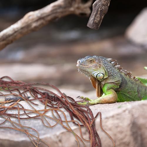 GANAZONO Artificial Reptile Climbing Vine with Bendable Rattan, Decorative Faux Tree Roots for Terrarium Habitat, Lizard and Snake Tank Décor, Jungle Vine for Reptile Enclosure