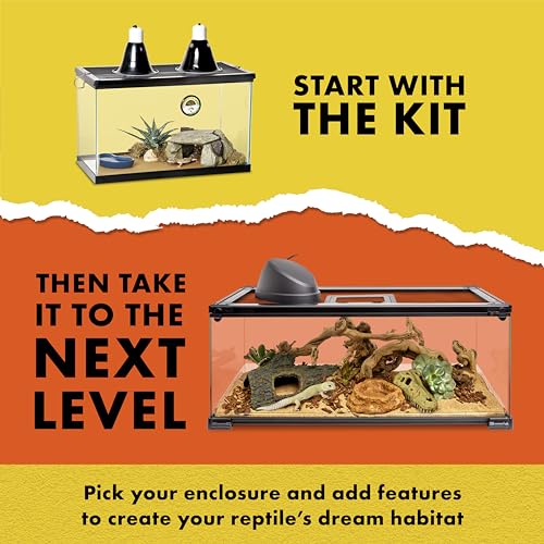 Zilla Desert Habitat Accessory Kit, Starter Kit for Reptiles, Easy Start for Desert-Dwelling Reptiles, Includes Lighting, Bedding and Food, Ideal for Size 10G Terrariums - size: Desert Accessory Kit, style: Desert Habitat