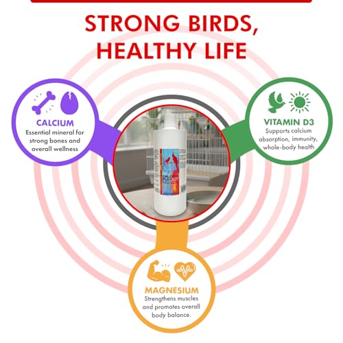 Morning Bird Calcium Plus Liquid for Birds – Calcium Supplement with Vitamins and Minerals for Strong Eggshells, Healthy Bones - Support Growth, Breeding, and Wellness for All Birds 32 Fl Oz - size: 32 Fl Oz