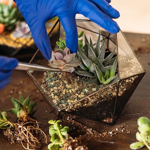 Doter Terrarium Potting Soil Mix 4qt, Custom Made for Terrariums, Perfect for Vibrant Miniature Gardens - size: 4qt