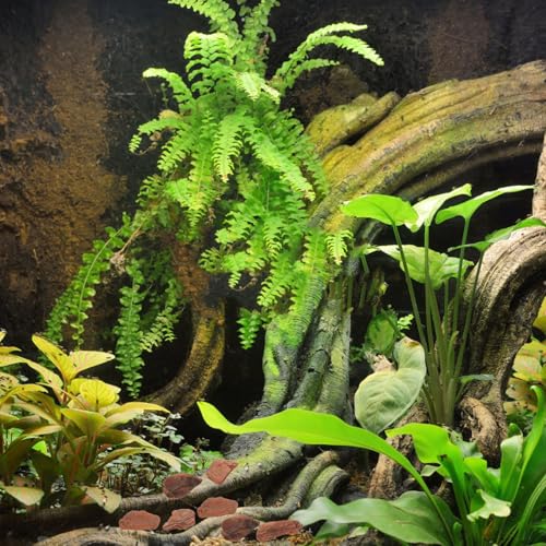 VICASKY 1Bag Natural Tree Bark Chips for Reptile Tank Bedding Lb Aquarium Decor for Terrarium Backdrop Rustic Pine Bark for Reptile Enclosure Rainforest Landscape