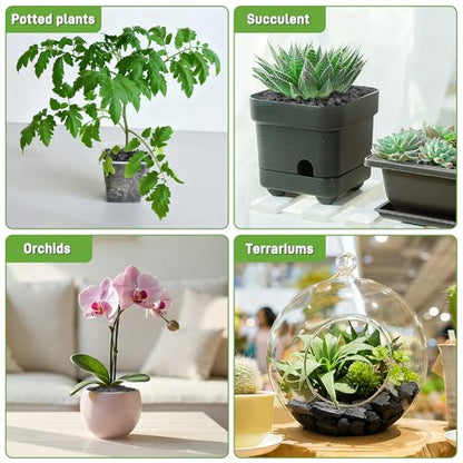 2 Quarts Horticultural Charcoal for Indoor Plants-Hardwood Potting Soil Amendment for Orchids, Succulent, Cactus, Terrariums, and Gardening