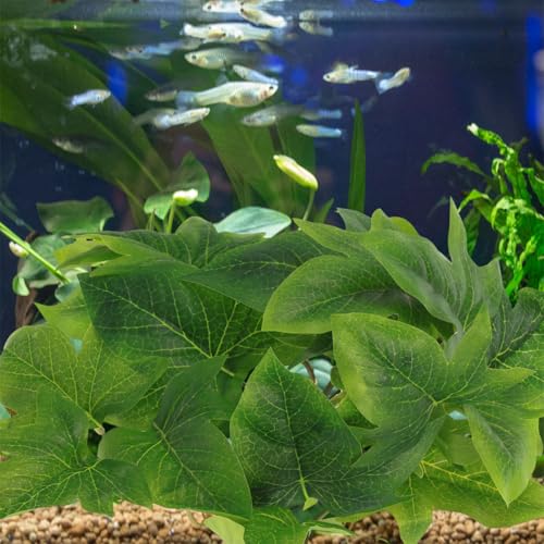 Hemoton Artificial Hanging Plant Ornament for Reptile Terrarium with Suction Cup, 23-Leaf Fake Greenery Decoration for Amphibian Habitat and Indoor Tank Supplies