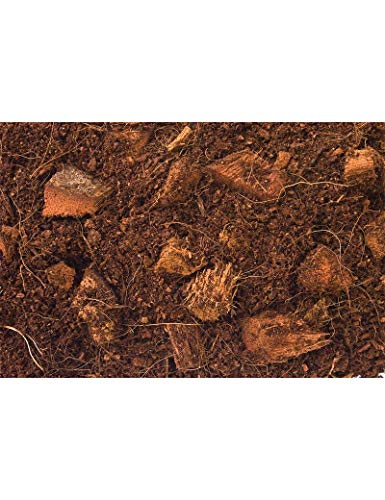 T-Rex Reptile Terrarium Substrate Bedding- Jungle Bed 4qt Bag (4qt) - size: 4qt