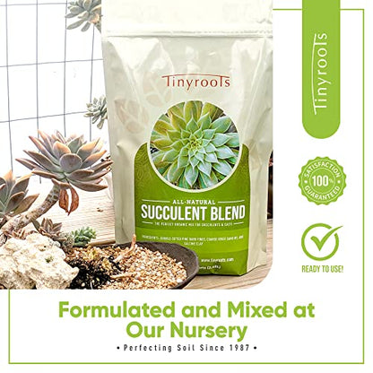 Succulent Soil - Cactus Soil Potting Mix Helps Avoid Over-Watering, Provides Optimal Water Retention for Your Indoor Plants
