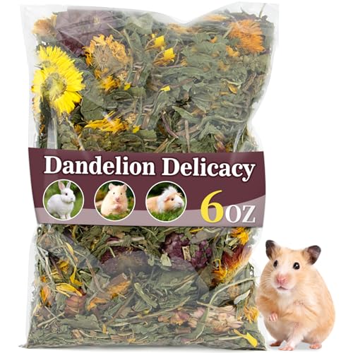 RAINFLOW Dandelion Delicacy for Small Pets – 6oz Natural Dried Dandelion & Herb Blend for Rabbits, Guinea Pigs, Hamsters & Chinchillas, High Fiber Forage Snack for Feeding and Enrichment