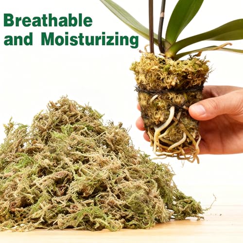 ZeeDix 12L Premium Sphagnum Moss for Plants Indoor, New Zealand Sphagnum Moss for Orchid Potting Mix Terrarium Succulent Carnivorous Ferns Hosta Garden & Reptile Habitat - size: 12L