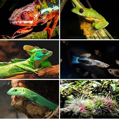 REPTI ZOO Large Tall Glass Reptile Tank 36"x18"x36", 100 Gallon Vertical Reptile Terrarium with Mesh for Chameleon Arboreal Lizard Frog, Paludarium Vivarium Tank