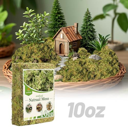 Alphatool 10oz Natural Green Moss for Crafts Beginners - Starter Moss for Plants Indoor, Artificial Fairy Gardens, Mini Mosswall, Glass Terrariums, Filling Fake Plants, Home Decoration - color: 10 Oz
