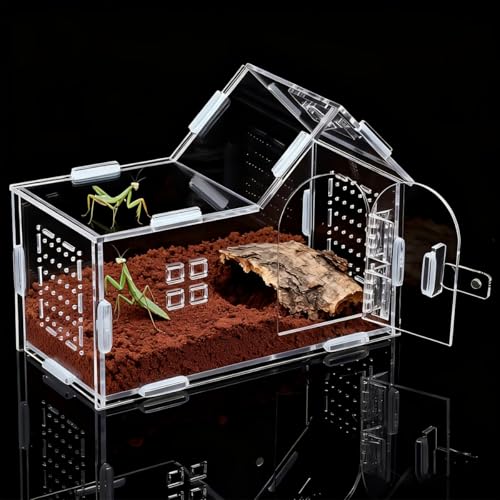 A Transparent Acrylic Housing Box for Lizards, Reptiles, and Jumping Spiders, Designed for Display and Storage. Please Remove The Protective Film Before Use to Ensure Clarity - color: Transparency