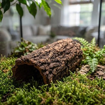 DECHOUS Natural Cork Round Reptile Hideaway 7.9x3.9 Inch Leopard Gecko Crested Gecko Terrarium Decor Wood Bark Hideout Cave for Small Reptiles Amphibians