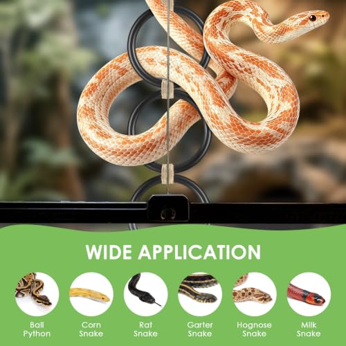 DBNESS 2PCS Snake Climbing Rings, Ball Python Enrichment Hoop Chain Toys, Adjustable Playground Reptiletank Cage Decor Accessories for Corn Snakes, Garter Snakes, Iguana, Lizards, Chameleons, Parrot