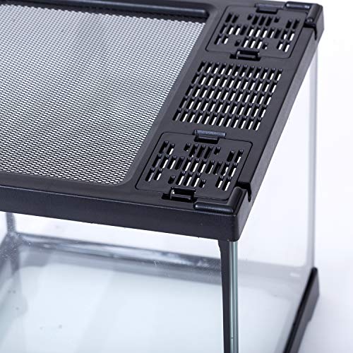 REPTI ZOO Mini Reptile Glass Terrarium,Front Opening Door Full View Visually Appealing Mini Reptile or Amphibians Glass Habitat - size: 8"x8"x12"