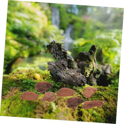 Mikikit Natural Reptile Bark Bedding for Terrariums 1kg Decor Bark Chips for Tortoises Lizards and Snakes Substrate for Reptile Habitats
