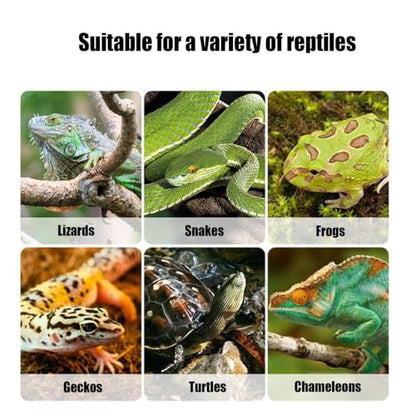 Terrarium – PVC ABS 21.4×14×14.8cm | Hatching Box | Reptile Box | Transparent Habitat Enclosure Designed for Small Reptiles and Breeding Projects Featuring Ventilation Visibility Secure