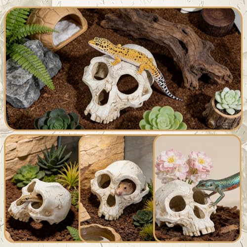 Wowagoga Resin Skull Cave Decor, Gothic Skull Terrarium Cave, Halloween Skeleton Cave Ornament, Aquarium Reptile Hideout, Desktop Home Office Spooky Decoration