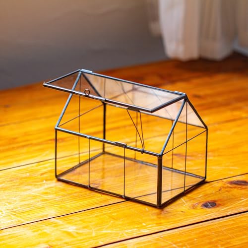 NCYP Mini Glass Terrarium with Lid - 6.1" x 4.25" x 4.92" House Shape Closed Planter for Mini Cactus, Succulents Plant, Moss - Home Garden Office Tabletop Geometric Decor, Black (Terrarium Only) - size: 6.1x4.25x4.92 inches