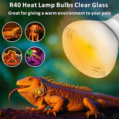 Aiicioo 250W R40 Clear Heat Lamp Bulb R40 Incandescent Heat lamp Bulb for Pets Flood Light Bulb for Chickens Clear Infrared Bath Light E26 Base 2 Pack