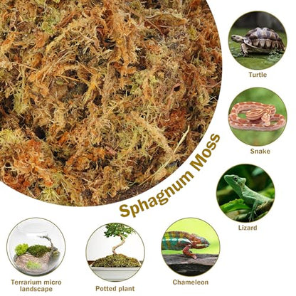 Hourleey 5.3 oz Sphagnum Moss for Plants, Premium Natural Long Fibered Dried Moss Potting, Sphagnum Peat Moss Bulk for Orchids Succulent Carnivorous Potted Plant Reptiles Medium Sarracenia