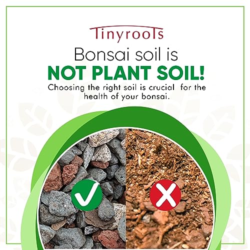 Bonsai Outlet Bonsai Soil Mix - Tinyroots All Purpose Bonsai Soil Mix Ready to Use Blend, Used for All Varieties of Bonsai Trees, 2.5 Gallons - size: 2.5 Gallons