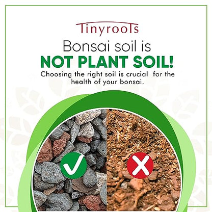 Bonsai Outlet Bonsai Soil Mix - Tinyroots All Purpose Bonsai Soil Mix Ready to Use Blend, Used for All Varieties of Bonsai Trees, 2.5 Gallons - size: 2.5 Gallons