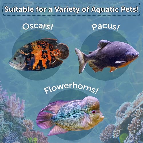 Crickets, Freeze Dried Crickets for Large Tropical Fish, Monster Fish, Reptiles, Turtles, Tortoises, Frogs, Hamsters, Birds, Rodents 6oz Canister - size: 6 Ounce (Pack of 1)