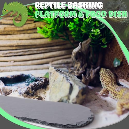 Shinylin 2 Pack Reptile Basking Platform, 11''x5.5'' Tortoise Slate Rocks Feeding Bathing Resting Slate Basking Platform for Bearded Dragon Turtle Lizard Gecko Chameleon Snake Frog