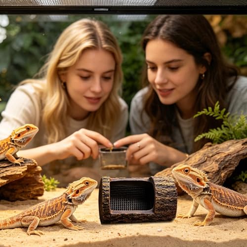 Reptile Food Dish - Integrated Multi-Tier Climbing Groovee, 15cm Wide Gecko Lizard Frog Station, Hermit Crab Turtle Vivarium Accessory, Non Porous Synthetic Rock Block | Habitat Feeder for Keepers