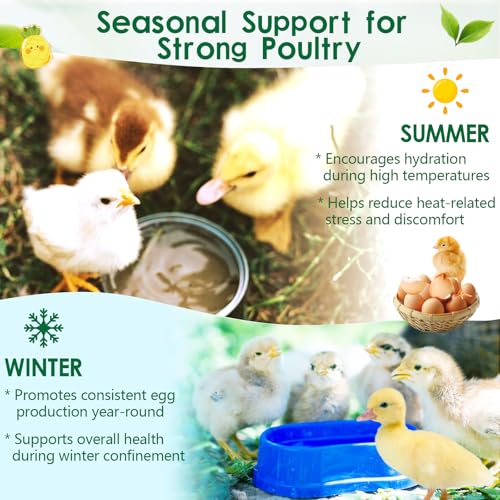 Chicken Electrolytes, Vitamins & Probiotics – Poultry Supplement for Hydration, Immunity & Gut Health – for Chickens, Ducks, Turkeys – 8.8oz Powder – All Ages Formula