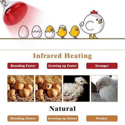 250W Red Heat Lamp Bulbs for Chicken,Infrared Flood Light Heat Lamp Bulb, Incandescent Light Heat Lamps for Chicks, Reptile, Pets, Par38 Glass E26 Base 2PCS - size: 250W 2PCS