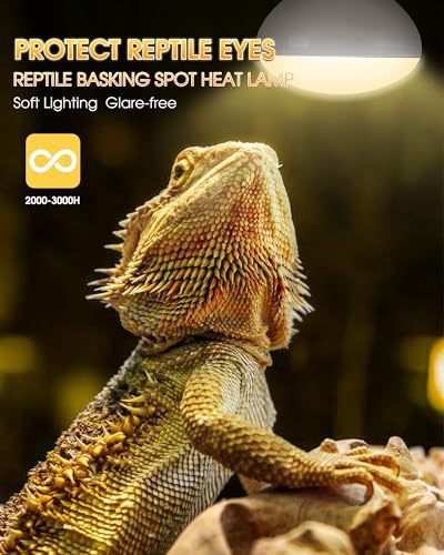 Reptile Heat Lamp Bulbs -100W UVA Natural Daylight Heating Lamp Basking Bulb for Bearded Dragon, Basking Spot Floodlight Light for Reptiles, Lizard, Turtle, Snake Bathroom, Plants,Chickens Pets,2 Pack - color: Daylight