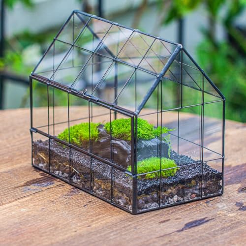 NCYP Geometric Glass Terrarium with Front Opening Door, House Shape Closed Micro Landscape Planter Box for Small Succulent, Cacti - Home Indoor Tabletop Decor, Handmade, Black (No Plants)