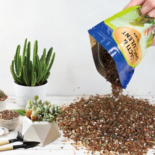 Doter Succulent & Cactus Soil Potting Mix 1qt, Chunky Dirt with Fast Draining Fits for Bonsai, Terrarium and Houseplant - color: Succulent & Cactus Soil, size: 1qt