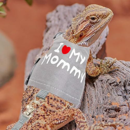 Bearded Dragon Travel Backpack Carrier with Reptile Thermometer and Humidity Gauge Lizard Travel Cage Space Capsule Clear Bubble Window Astronaut Reptile Bag for Ball Python (Black, Backpack+I LSH) - color: Black, size: Backpack+I LSH