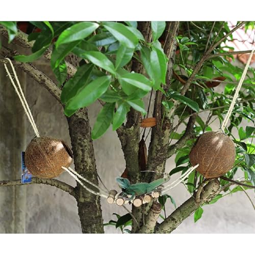 Gecko Coconut Shell Hut Reptile Hideout Home Nesting House Natural Habitat Decor with Hanging Wooden Ladder for Lizard Gecko Hermit Crab