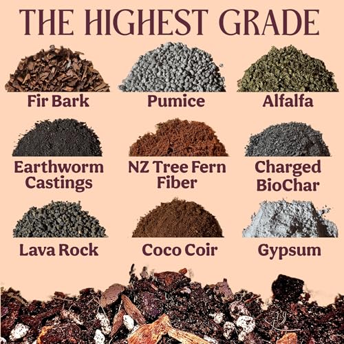 Craft Aroid Potting Mix- Elite Organic Alocasia, Philodendron, Monstera Soil Mix, Chunky, Well Draining Potting Soil for Indoor Plants, All Tropical Plants & Houseplants, Perlite & Peat Free 2QT - size: 2 Quart