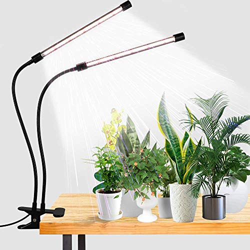 GooingTop LED Grow Light,6000K Full Spectrum Clip Plant Growing Lamp with White Red LEDs for Indoor Plants,5-Level Dimmable,Auto On Off Timing 4 8 12Hrs - size: 49Watts