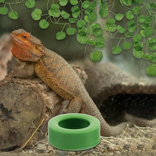 ABOOFAN 6pcs Anti-Escape Reptile Feeding Bowls for Bearded Dragon and Crested Gecko, 0.9inch Depth Round Food Dishes, Green Plastic Mealworm Feeders for Lizard Terrarium Accessories