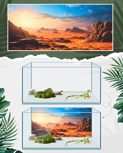 Breling 4 Pcs 36 x 18 Inch Reptile Habitat Background with Nano Glue Gobi Sun Cactus Stone and Green Tree Fern Stream Bearded Dragon Terrarium Background Polyester Durable Aquarium Accessories - color: Style1, size: 18 x 36 Inch