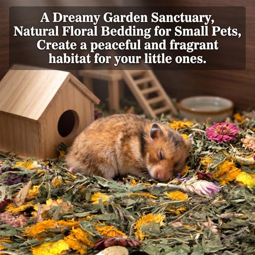 RAINFLOW Dandelion Delicacy for Small Pets – 6oz Natural Dried Dandelion & Herb Blend for Rabbits, Guinea Pigs, Hamsters & Chinchillas, High Fiber Forage Snack for Feeding and Enrichment