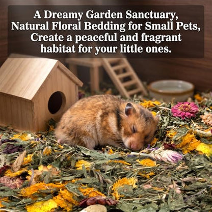 RAINFLOW Dandelion Delicacy for Small Pets – 6oz Natural Dried Dandelion & Herb Blend for Rabbits, Guinea Pigs, Hamsters & Chinchillas, High Fiber Forage Snack for Feeding and Enrichment