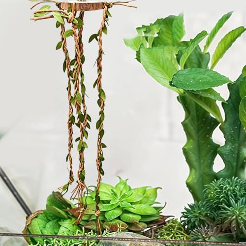 Jumping Spider Enclosure Accessories – Wood Cotton Rope 6x6x1cm 36cm Vine Set | Reptile Cage Climbing Toys for Habitat Enrichment | Natural Terrarium Decoration for Jumping Spiders Lizard
