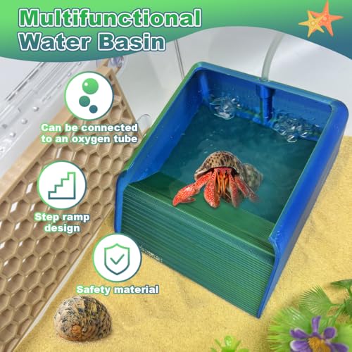 Hermit Crab Water Bowl with Climbing Ramp, Reptile Feeding Water Dish Tank Accessories, Suitable for Hermit Crab Bearded Dragon Lizard Tortoise Frog Gecko (Navy Blue)