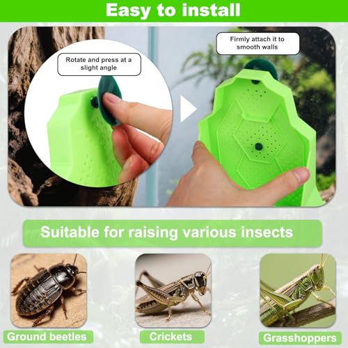 Large Capacity Bearded Dragon Feeder, Escape-Proof Reptile Corner Hunting Bowl with Suction Cups Wall-Mounted Reptile Feeding Box for Lizards Geckos Chameleons & Frogs (Green)