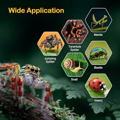 Glass Jumping Spider Enclosure Kit,Escape Proof Gothic Spider Tank | Fence Kits Terrarium Desktop Display Habitat for Jumping Spiders,Arboreal Tarantulas,Critter Keeper(No Plants)